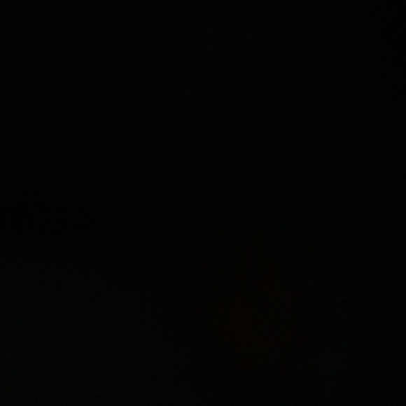 Meet your Posher, Brianna - Picture 1 of 1